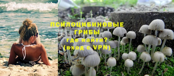 бошки Одинцово