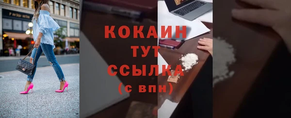 прущие грибы Михайловка