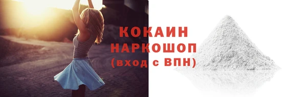 прущие грибы Михайловка