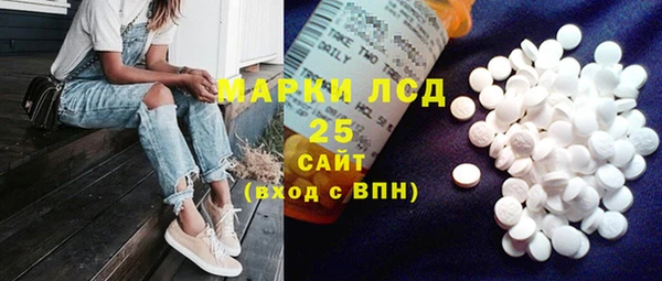 прущие грибы Михайловка