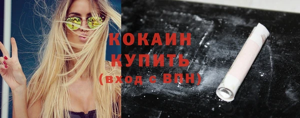 прущие грибы Михайловка