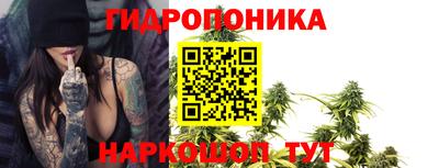 спиды Заволжье