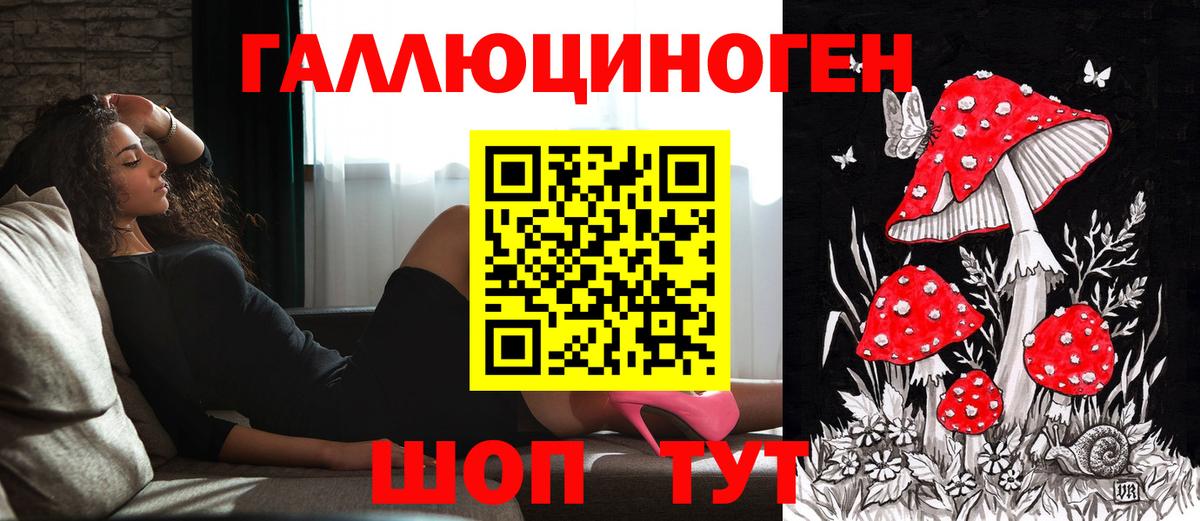 Псилоцибиновые грибы Cubensis Киреевск