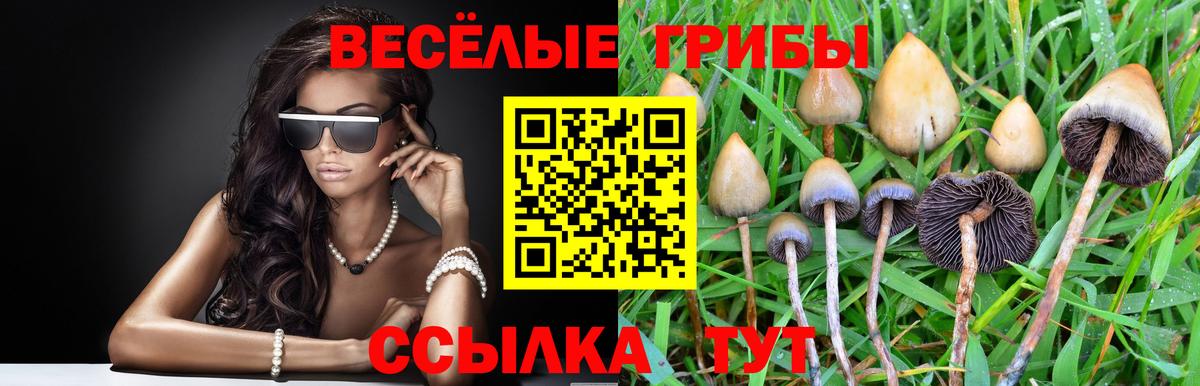 Меф Киреевск